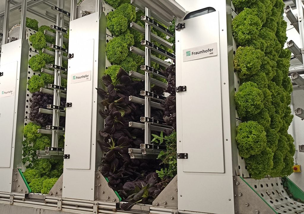 Die förderbandbasierte OrbiPlant-Technologie soll eine platzsparende Anbauweise möglich machen. Die förderbandbasierte OrbiPlant-Technologie soll eine platzsparende Anbauweise möglich machen.