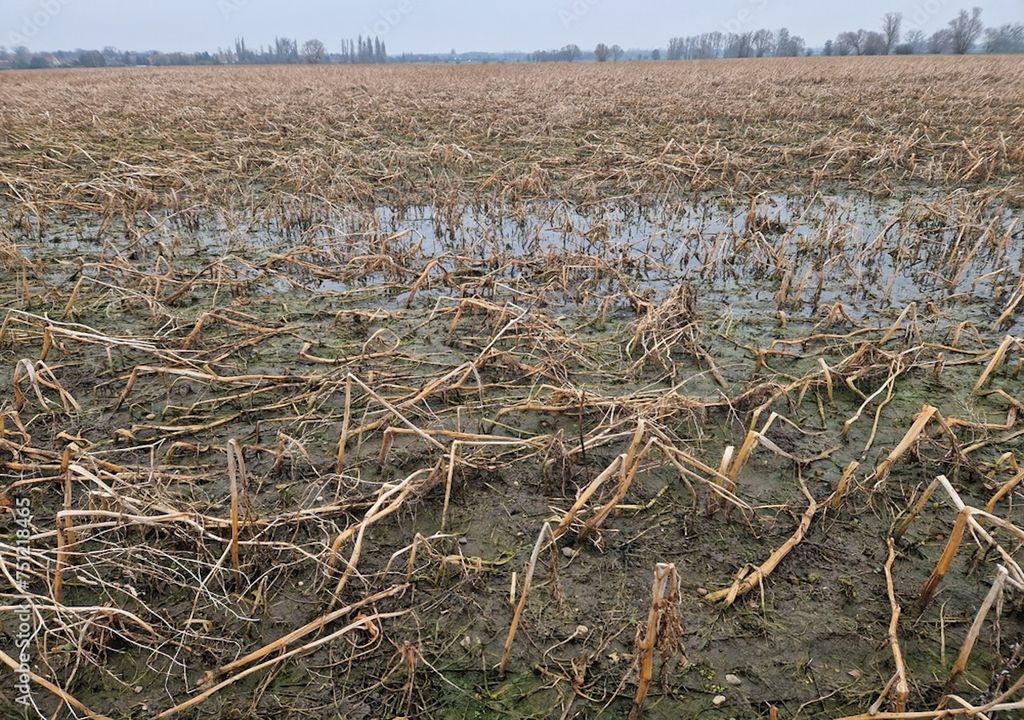 Ernteausfall, Überschwemmungen, Starkregen