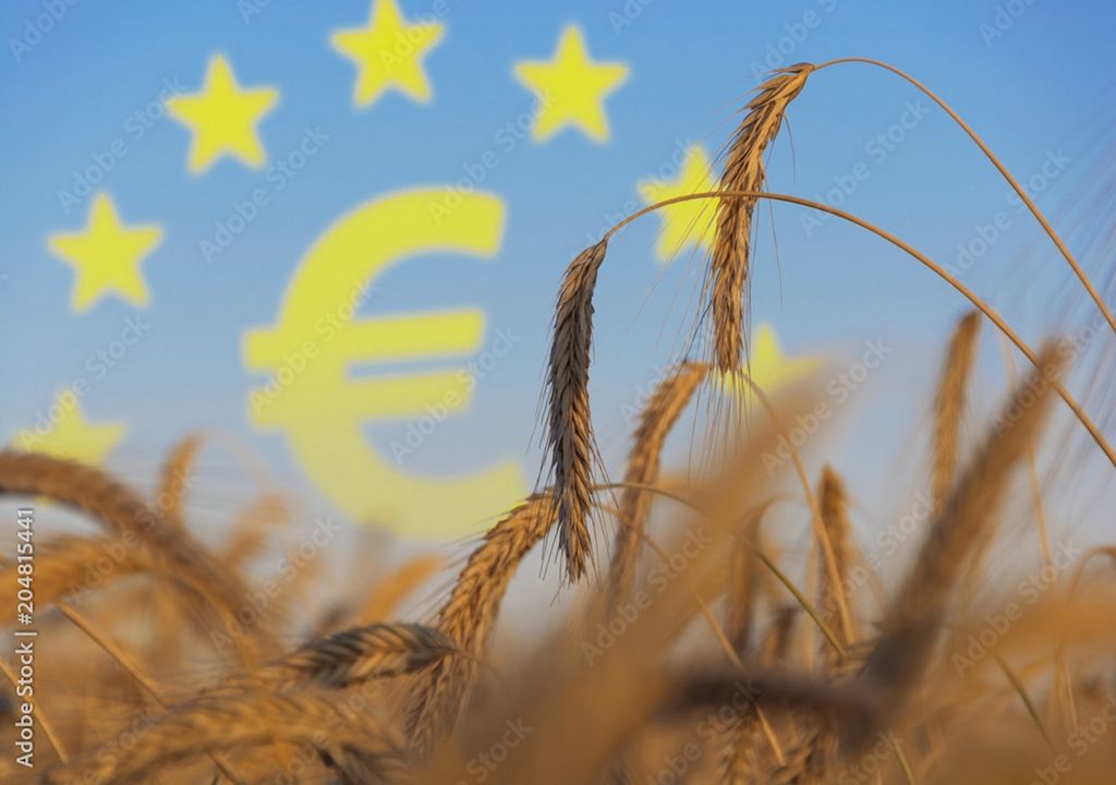 Europäische Agrarwirtschaft, Sommer, 2024