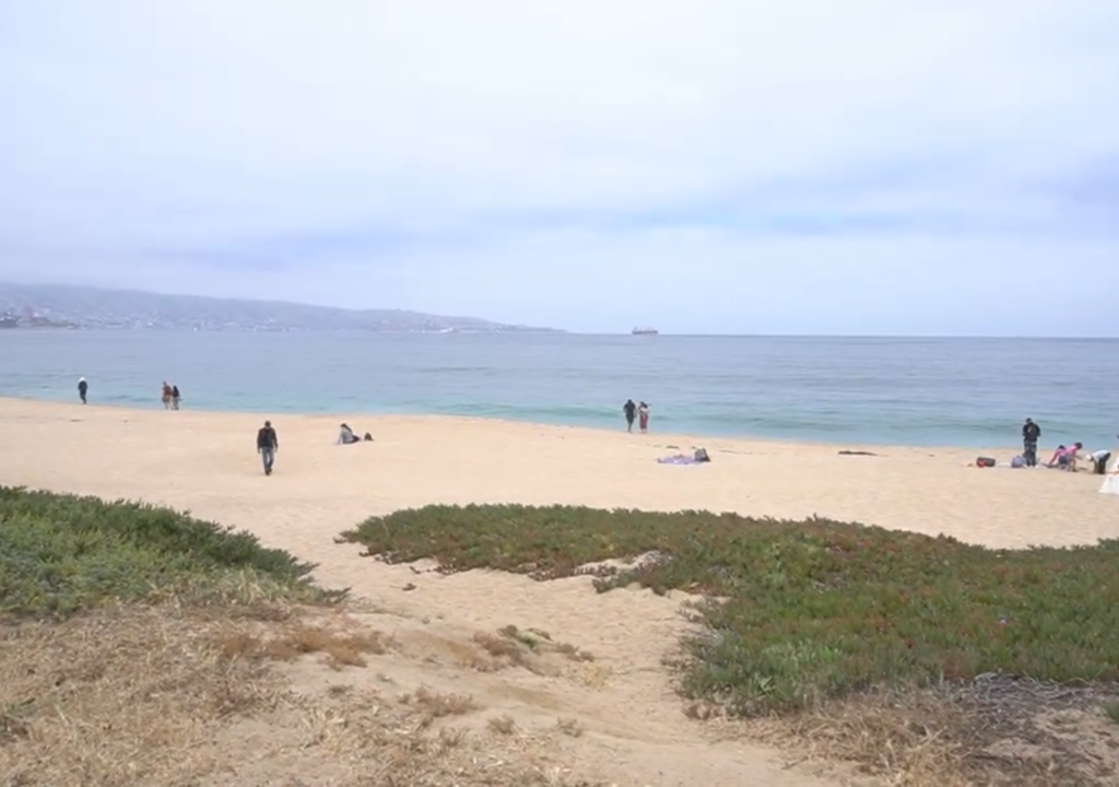 Playa Los Marineros, en Viña del Mar, una de las zonas donde se ha observado reducción del ancho de playa asociada a procesos de erosión costera.