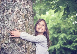 Erschreckend: So heiß wäre ein Sommer ohne die Natur!