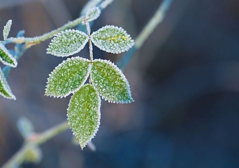 Erst 35 Grad, jetzt Frost: So sp&auml;t hat es das selten gegeben &ndash; diese Regionen erwischt es eiskalt