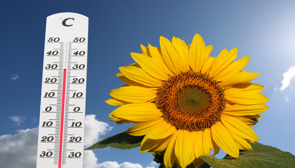 Der Kalender steht auf Herbst, doch das Thermometer schlägt noch einmal aus: Zwischen frostigen Morgenstunden und spätsommerlicher Wärme liegen nur wenige Tage.