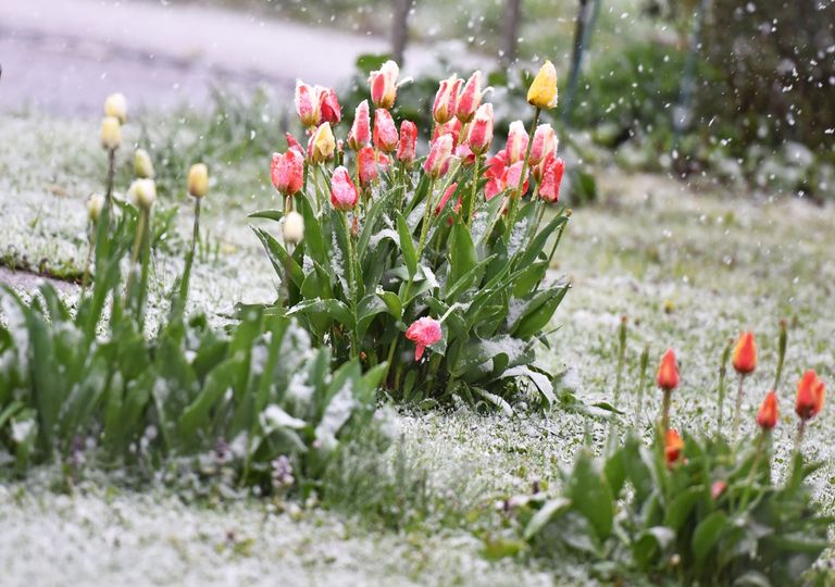 Spätwinter nach Frühling Spätwinter nach Frühling