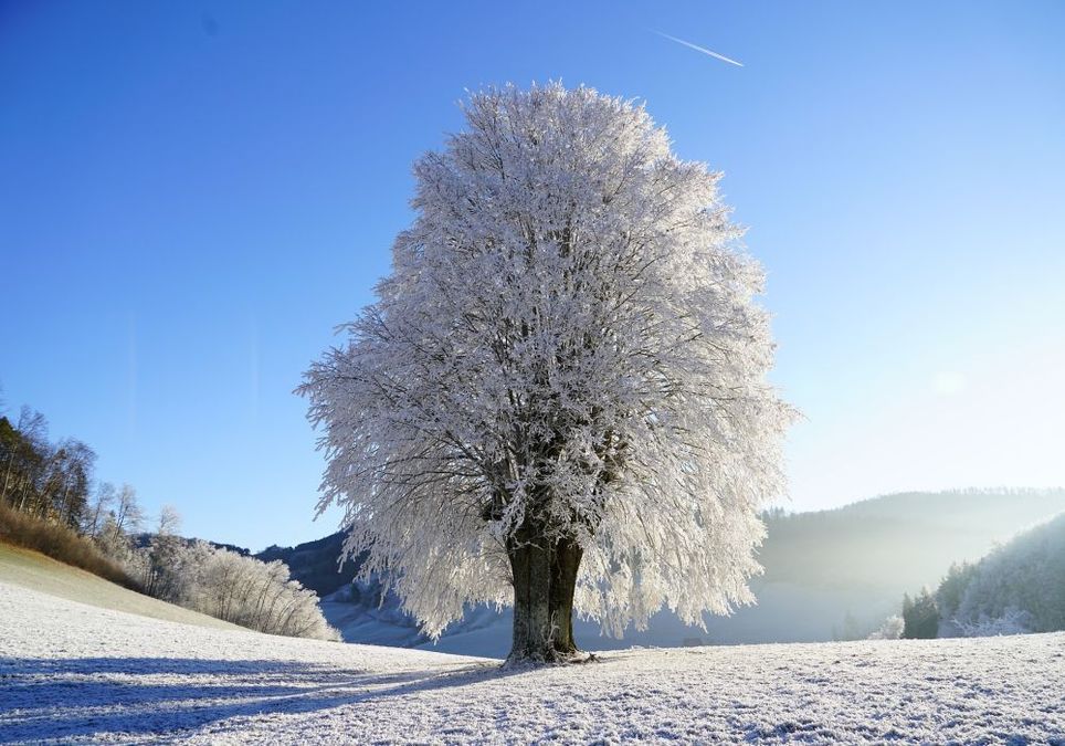 Erst Winter Mit Extremer Glatte Dann Milderung