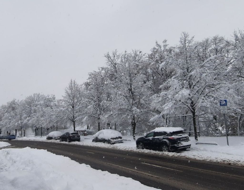 schnee, winterwetter, wintereinbruch