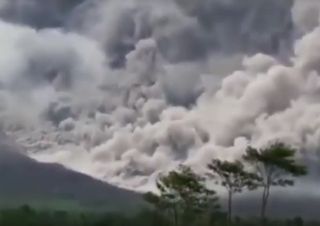 Éruption du volcan Semeru en Indonésie : des images impressionnantes !