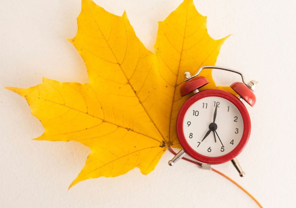 Relógio e folha de outono