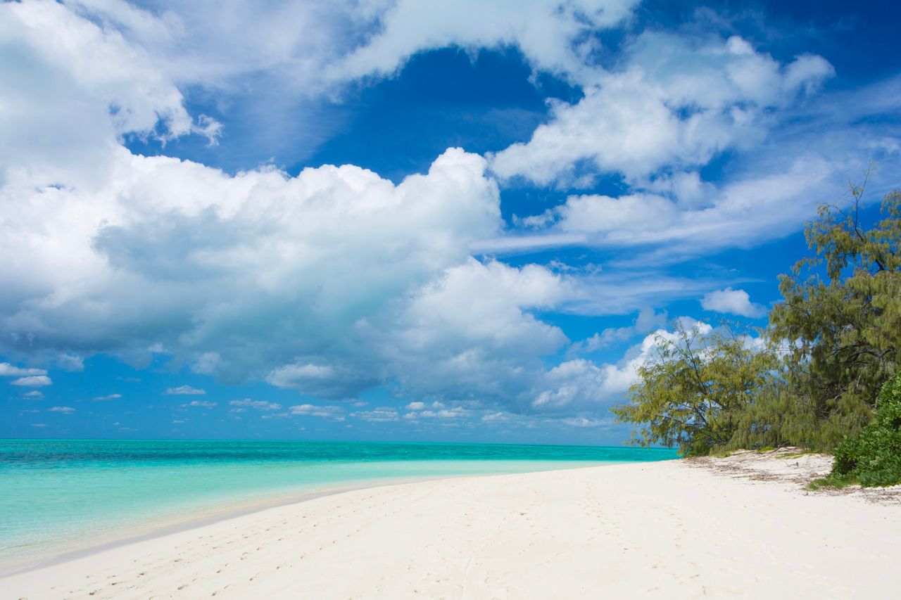 Las aves son las protagonistas de esta idílica isla en el sur de la Gran Barrera de Coral. Foto: Adobe Stock