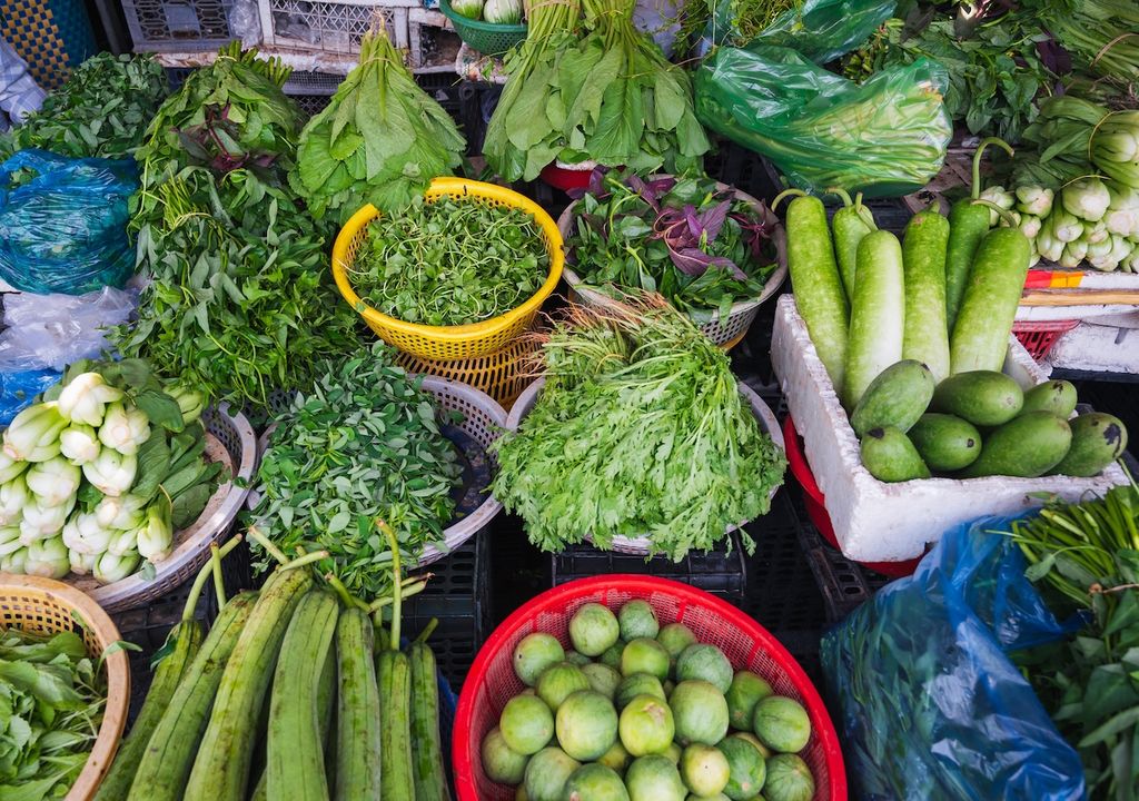 Das Käsekraut oder die Käsepflanze wird vielfach in der Vietnamesischen Küche verwendet