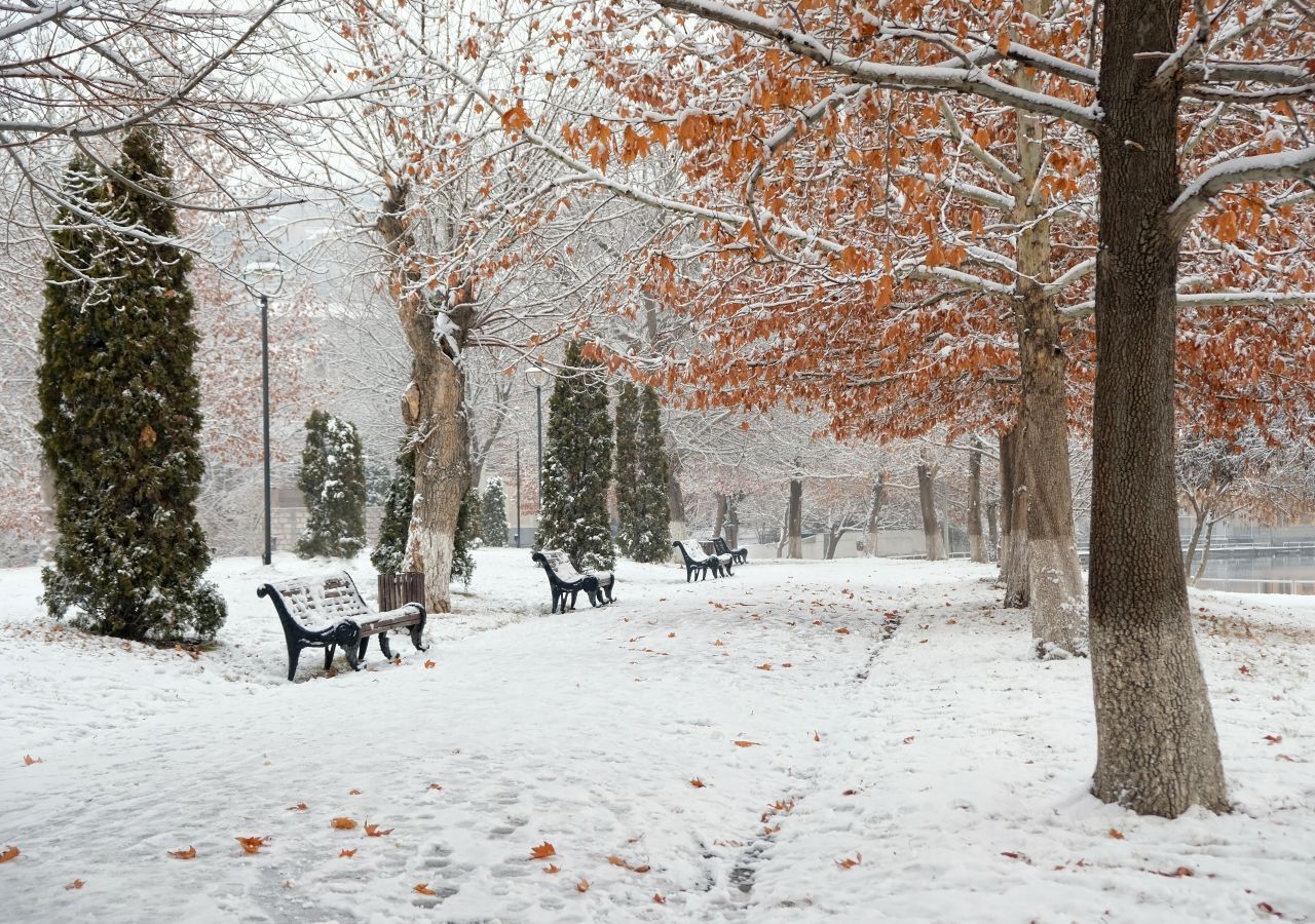Kommt es zwischen dem 15. und 20. November zu einem ersten Wintereinbruch bis in tiefe Lagen?
