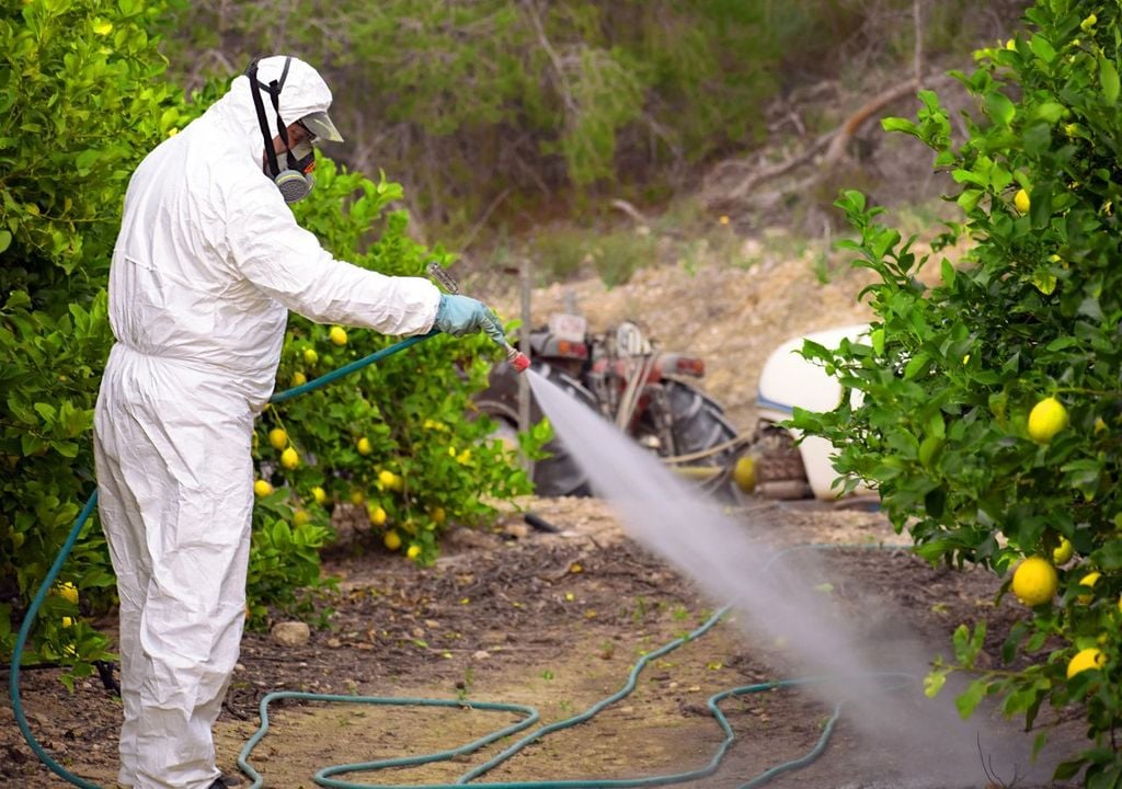 Fumigación planta Fumigación planta