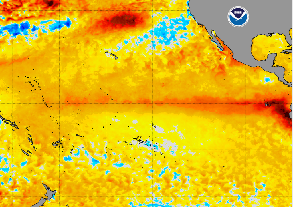 El Niño ha llegado El mar del Pacífico ecuatorial sigue calentándose y los vientos cambiando, haciendo que El Niño se consolide, esperándose su máxima intensidad este invierno.