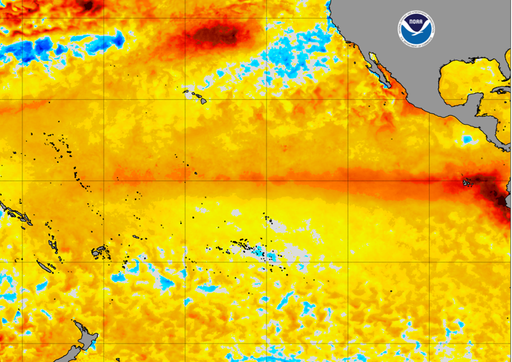 &iexcl;Es oficial, El Ni&ntilde;o ha llegado! Las temperaturas y lluvias cambiar&aacute;n notablemente en pr&oacute;ximos meses sobre M&eacute;xico