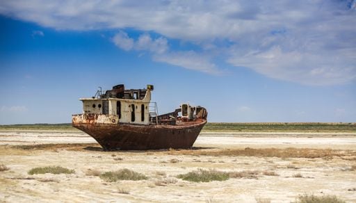 &iquest;Es posible revertir el mayor desastre ambiental de la historia? Los cient&iacute;ficos ofrecen esperanza para el mar de Aral