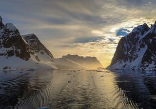 Escapada al frío polar: una revancha para el team invierno a bordo de un crucero ¡rumbo a la Antártida!