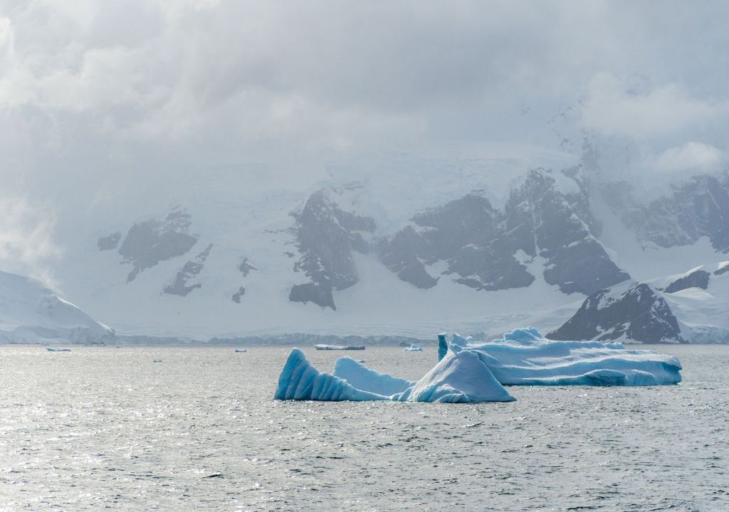 Hielos antárticos