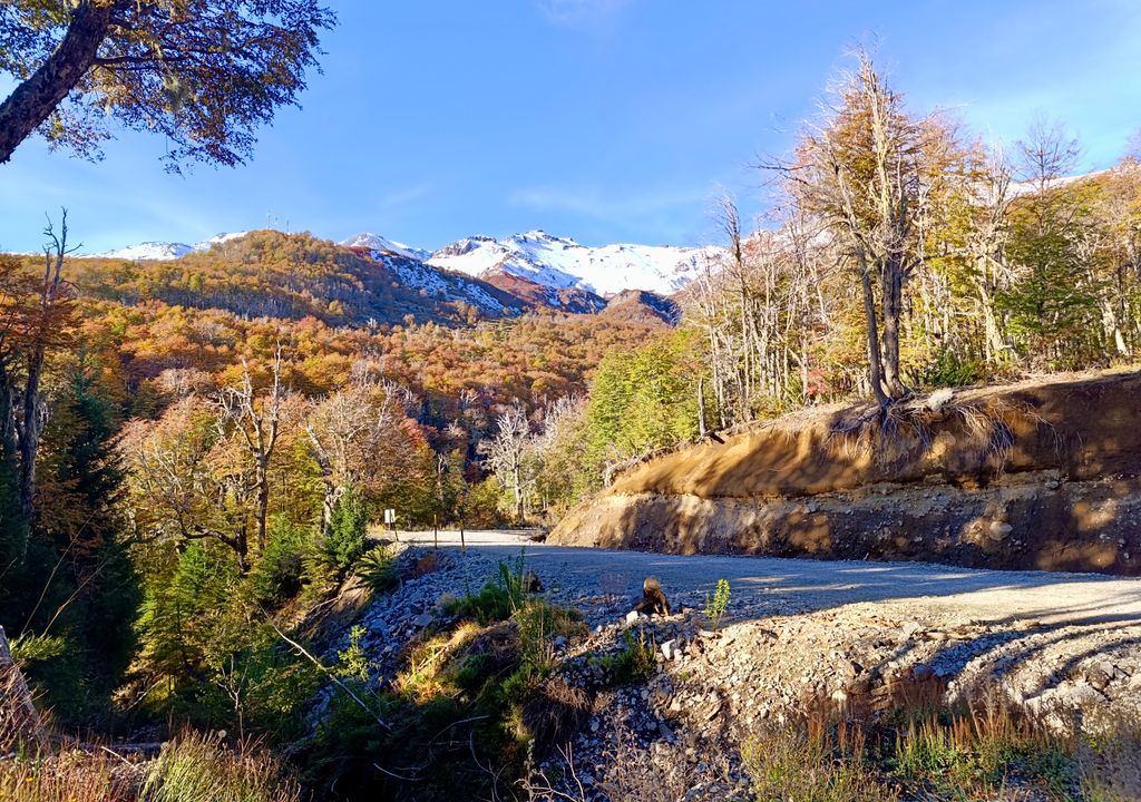 Paisaje de Termas de Chillán en abril.