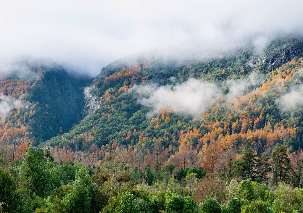 Parque Nacional Villarrica, destino para viajar en otoño.