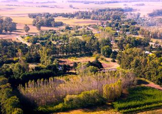 Escapadas de último momento: 4 lugares donde ir en el último finde XL del año