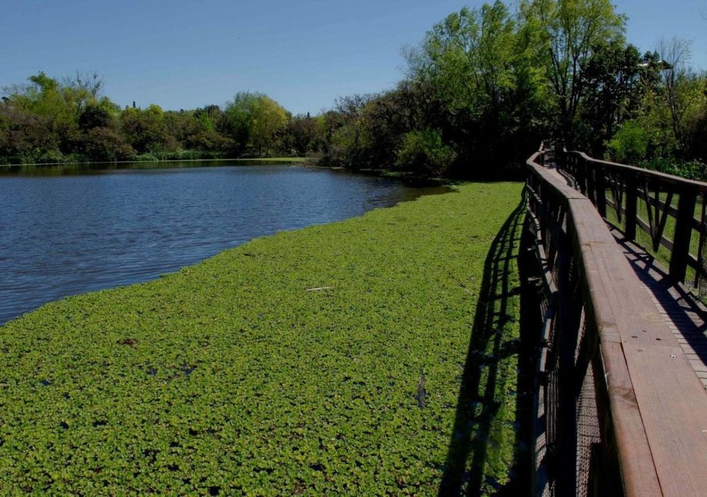 Reserva Ecológica Vicente López