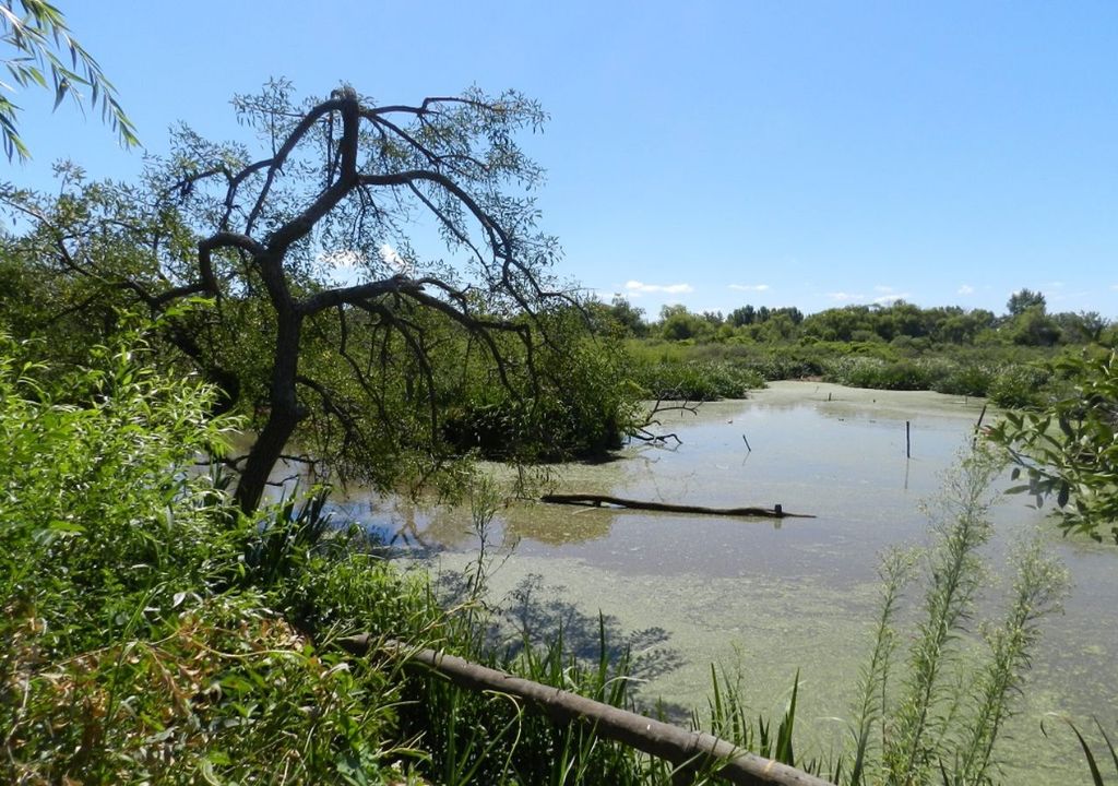 Parque Natural Ribera Norte