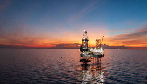 El "Escuadr&oacute;n de Dios" de Trump elimina la protecci&oacute;n para las especies en peligro de extinci&oacute;n en el Golfo de M&eacute;xico