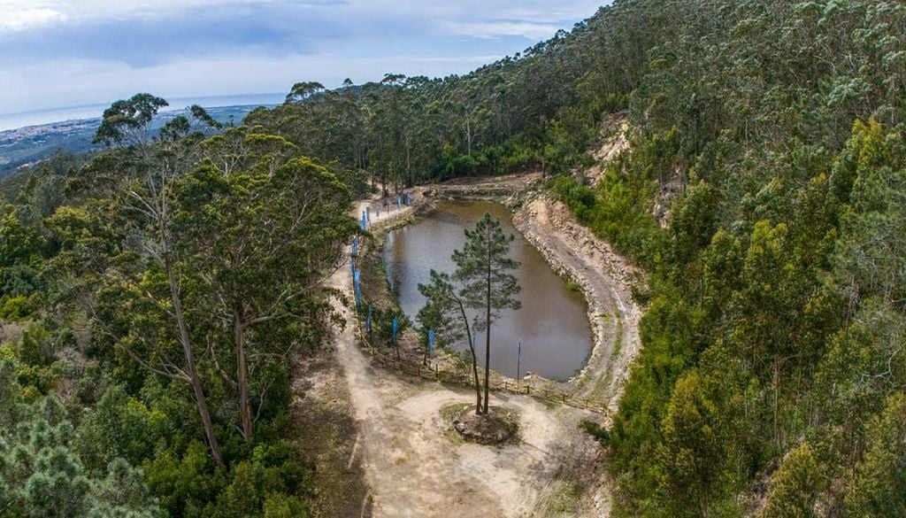 O Parque dos Guardiões da Floresta é a nova zona protegida da Serra de Sintra que será cuidada por associações de escuteiros. Foto: Município de Sintra