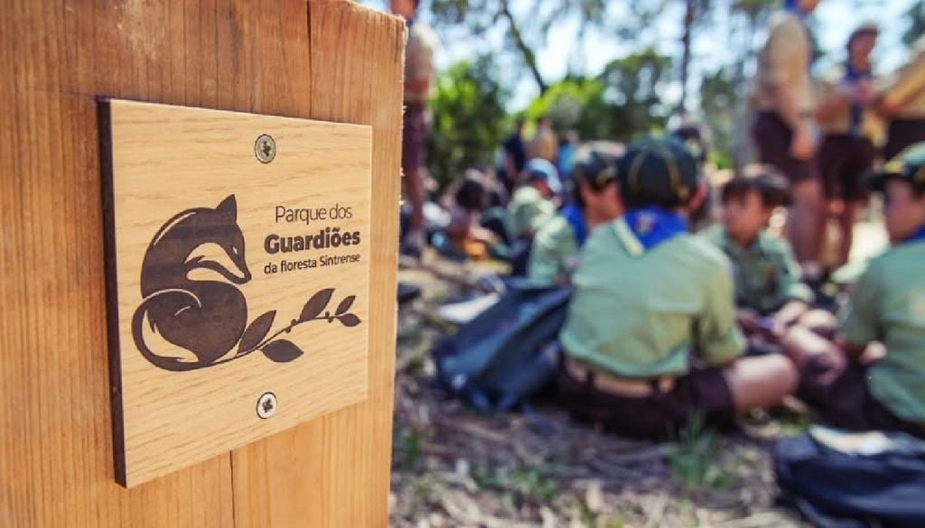 A autarquia sintrense quer que o modelo de gestão do parque, partilhado com jovens escuteiros, se torne num exemplo nacional. Foto: Município de Sintra