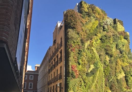 Espacios verdes con bajo consumo de agua: as&iacute; est&aacute;n dise&ntilde;ando jardines urbanos sostenibles para este verano