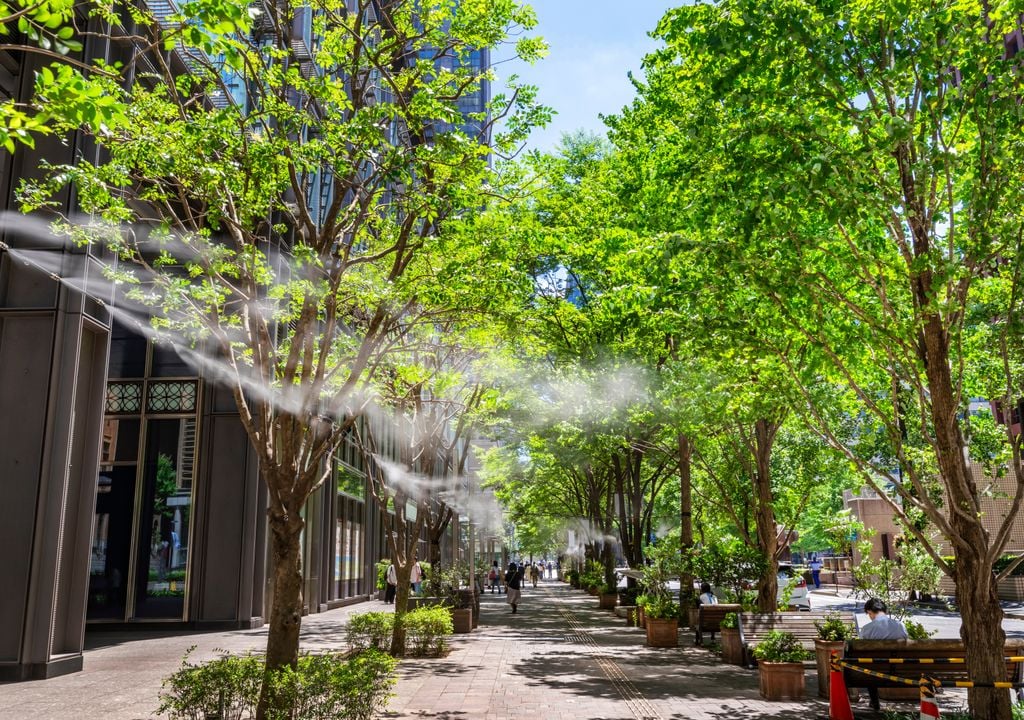 Aplicar soluciones para mitigar el efecto isla de calor, se ha convertido en una prioridad para muchas ciudades.