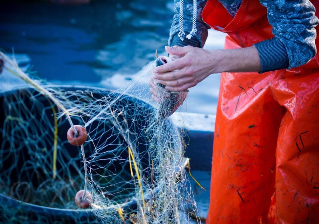 Pesca Pesca