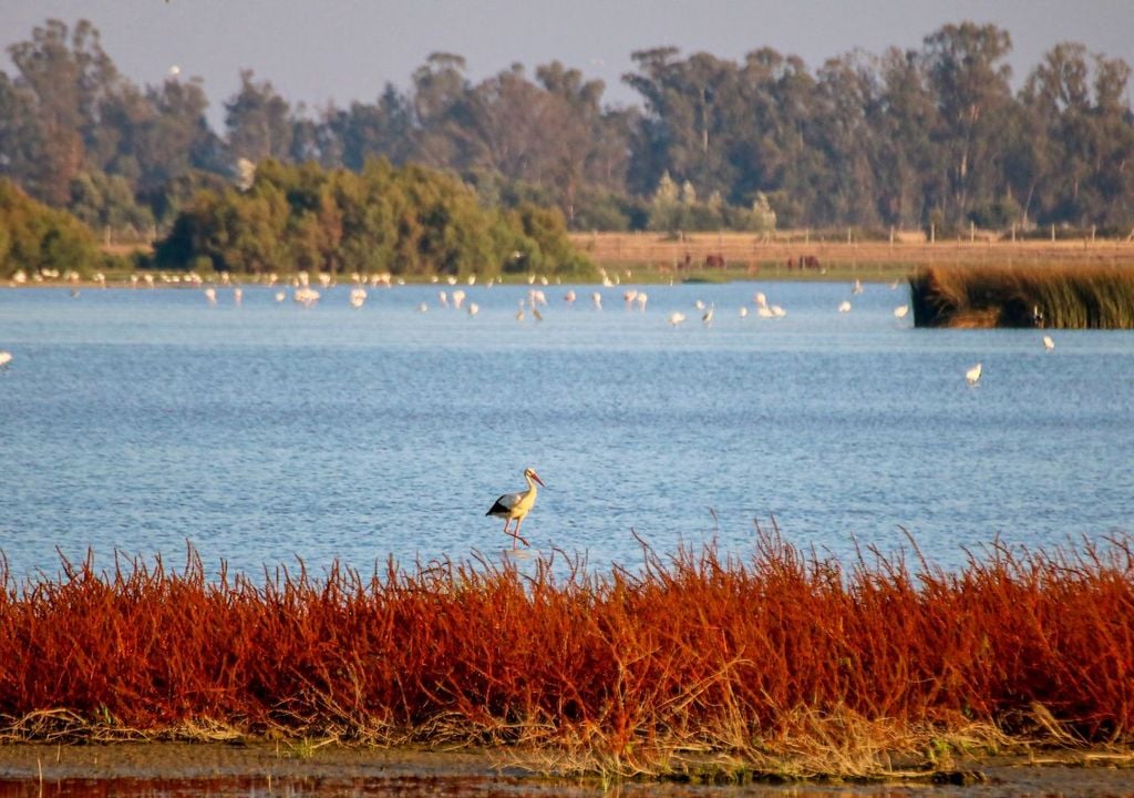 Parque de Doñana Parque de Doñana