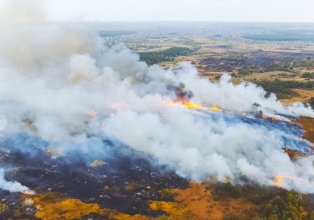 Incendio forestal Incendio forestal