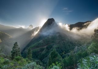 España tiene su propio Amazonas: la selva con playas de agua cristalina para viajar en Semana Santa 