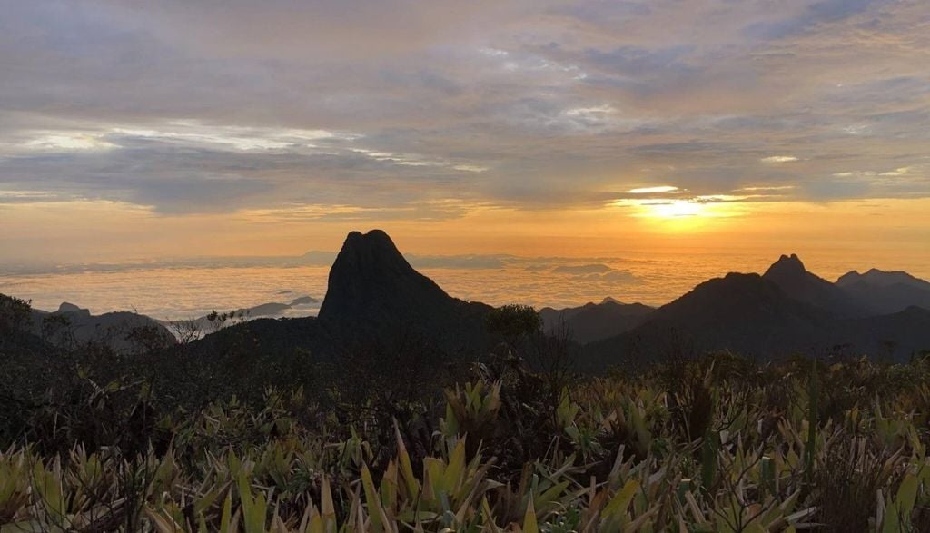 Vista panorâmica da Serra do Imeri, habitat das duas novas espécies de sapos. Foto: Taran Grant Vista panorâmica da Serra do Imeri, habitat das duas novas espécies de sapos. Crédito: Taran Grant