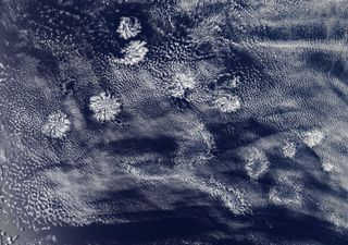 Espectaculares nubes actinoformes en la costa de Australia