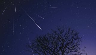 The shooting star spectacle: the Taurids 2024 are here for Bonfire Night, how to see them?