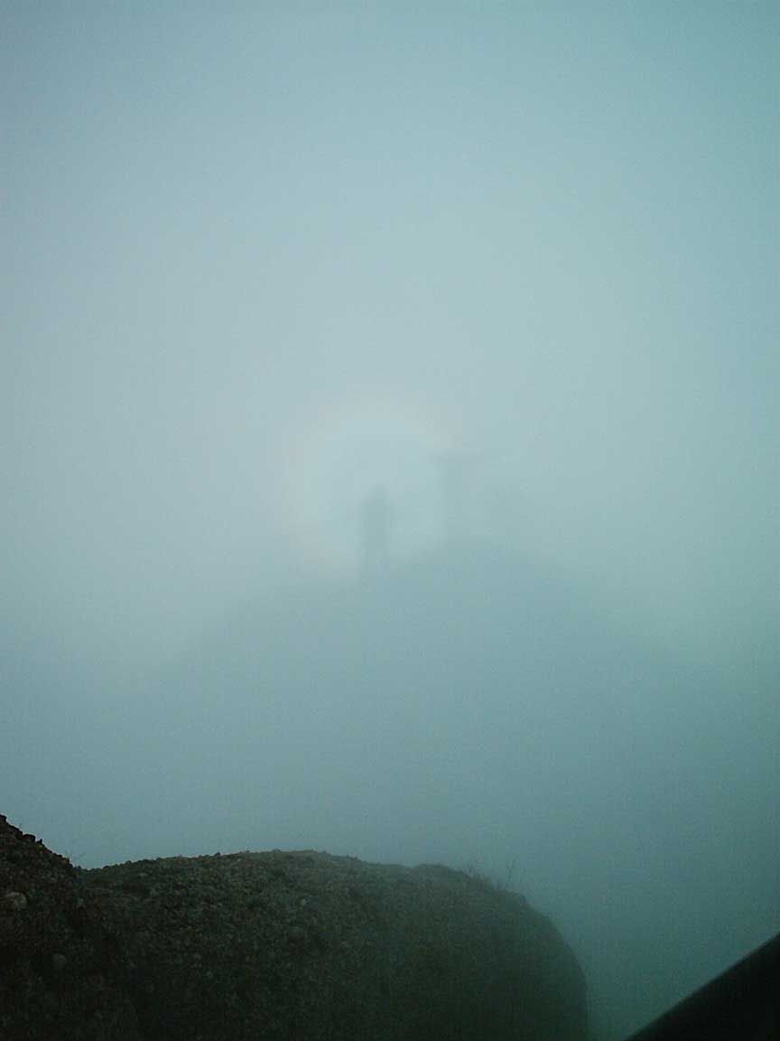 Espectros En La Niebla