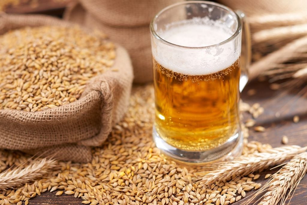 cerveza cerveza