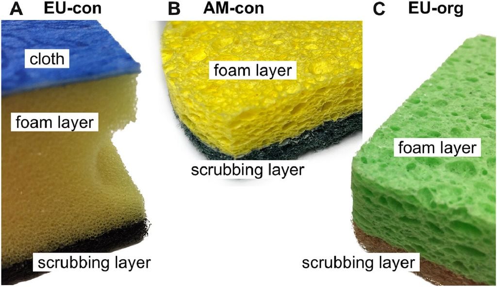 Capas de material para cada tipo de esponja: A) EU-con, B) AM-con y C) EU-org. Las imágenes microscópicas de cada capa se pueden encontrar en SM-1A. Crédito: Environmental Advances (2026). DOI: 10.1016/j.envadv.2026.100693