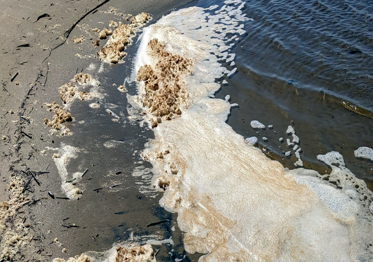 Arena de playa, espuma de mar y agua a lo largo de la costa. Un estudio de campo observó niveles más altos de sustancias químicas permanentes en la espuma del mar que en el agua a lo largo de parte de la costa de Carolina del Norte.Emily Donovan, adaptado de Environmental Science & Technology 2025, DOI: 10.1021/acs.est.5c03600
