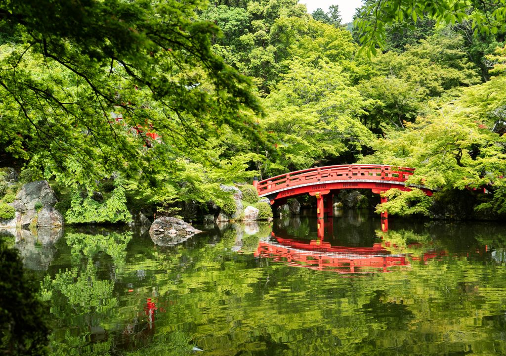 Outono Kyoto Outono Kyoto