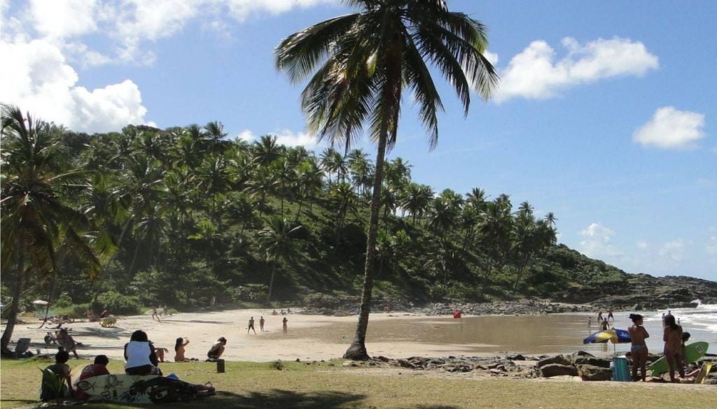 A Praia do Resende, em Itacaré (Bahia), é um refúgio semiurbano cercado por coqueiros e Mata Atlântica. Fica a apenas 1,5 km do centro da cidade. Crédito: Blog Amo Itacaré.