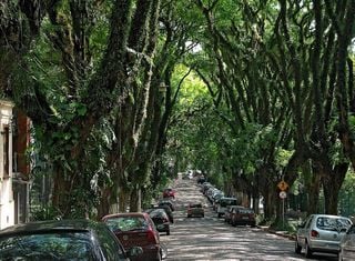 Essas são as 8 ruas mais bonitas do Brasil; confira