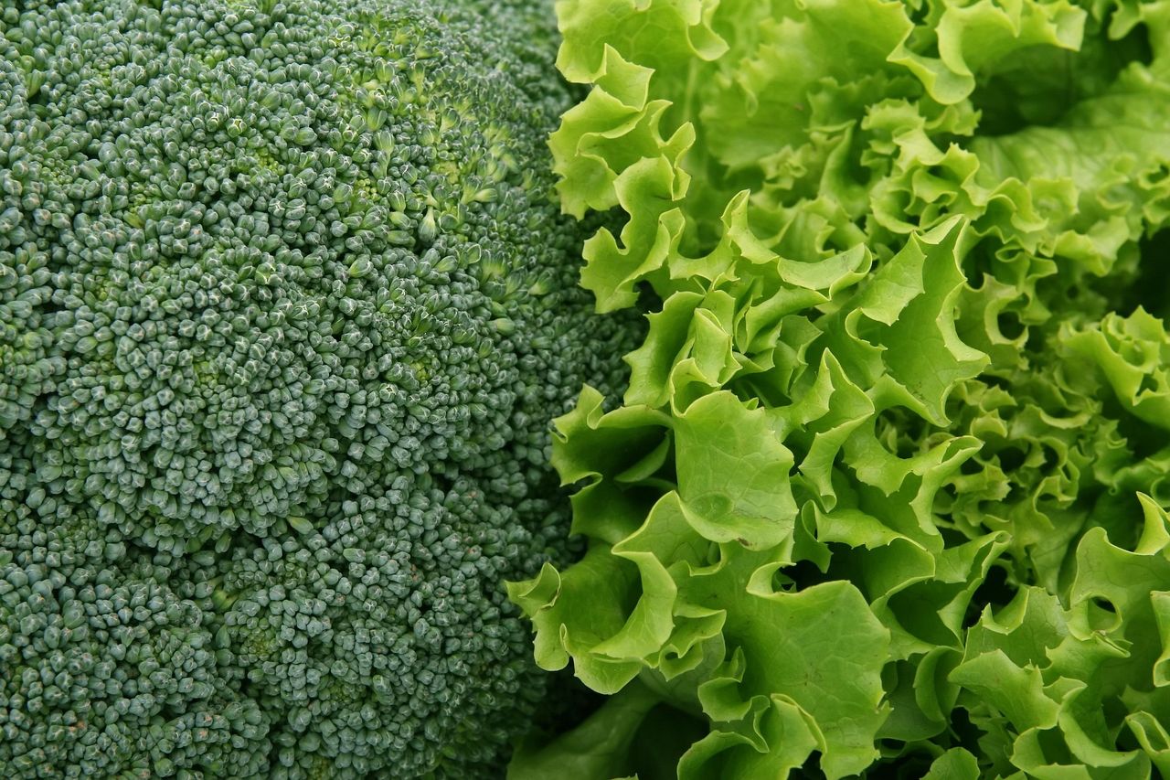 Grün beruhigt nicht nur das Auge. Bei der Ernährung gilt grünes Gemüse als gesunder Fitmacher.