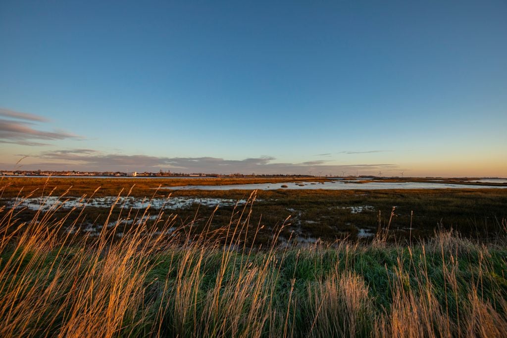 Wallasea Island nature reserve will be expanded by the RSPB (c)Ben Andrew