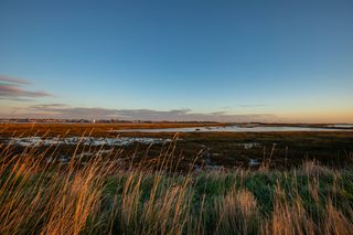 Essex nature reserve set for massive expansion by the RSPB