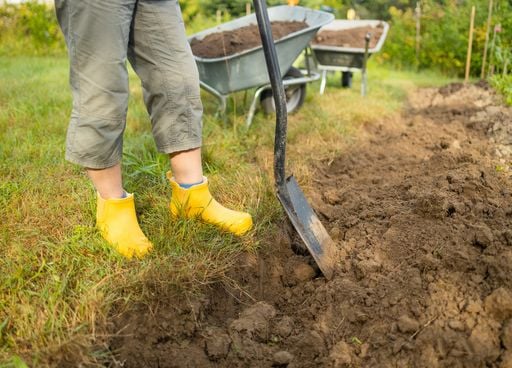 Est-ce utile de labourer son jardin &agrave; l'automne ? Voici quelques conseils pour pr&eacute;parer votre potager