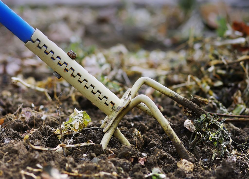 Retourner le sol sur une faible profondeur est suffisant. Parfois un simple "grattage" aussi !